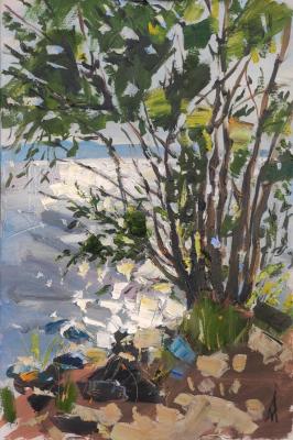 �������� �����. �����. ���������� �����