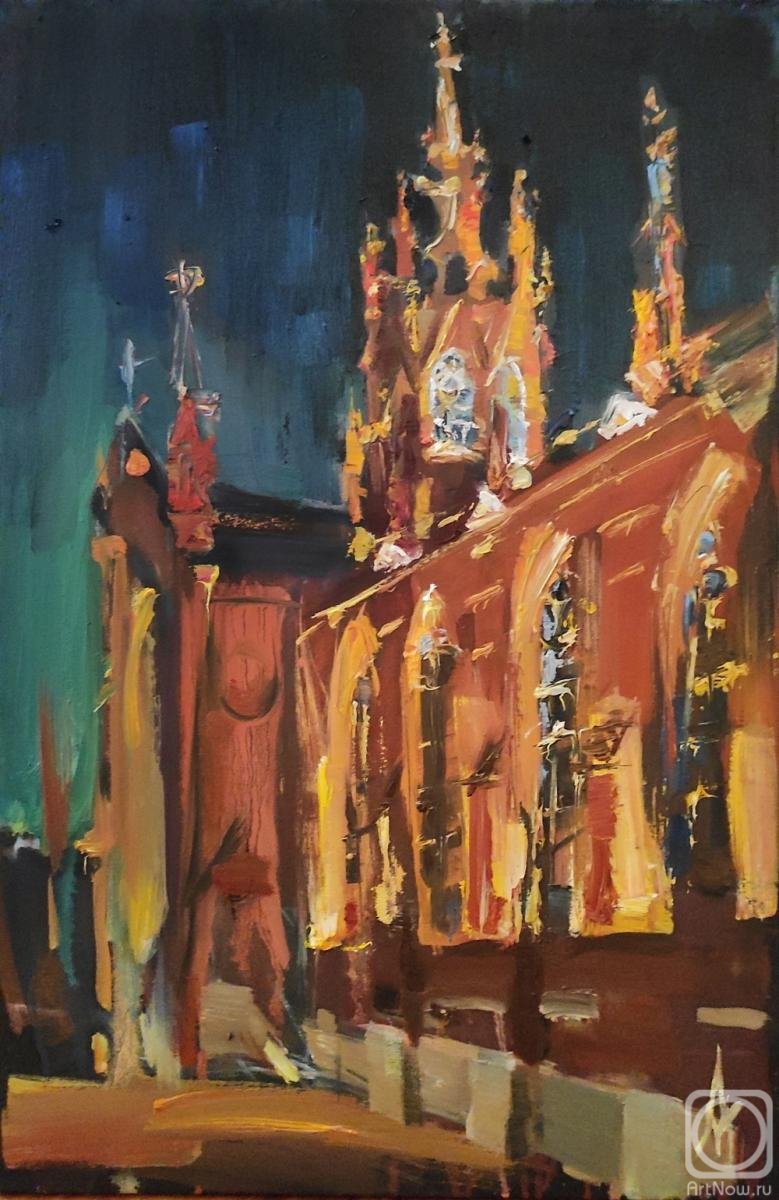 Mihaylenko Alina. Cathedral of the Immaculate Conception of the Virgin Mary. Night