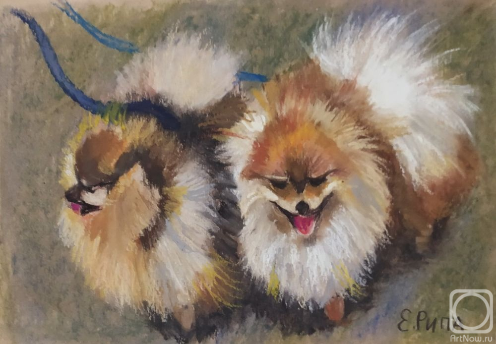 �������. ���� �����. �� ��������