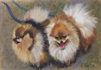 �� ��������. ���� �����