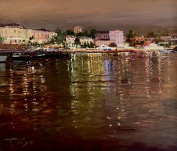 Night lights of the sea city