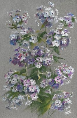 ������. ����� �����. �������� �����