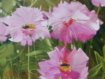 ���� ������� �� ��������. �������� �������