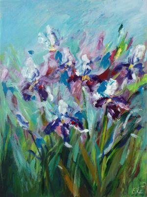 ������� ��������� ����