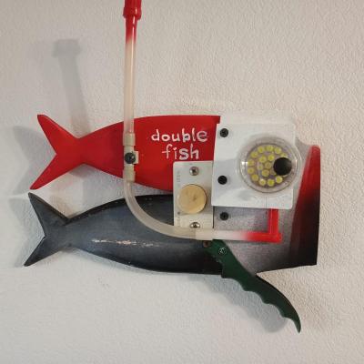 Double fish