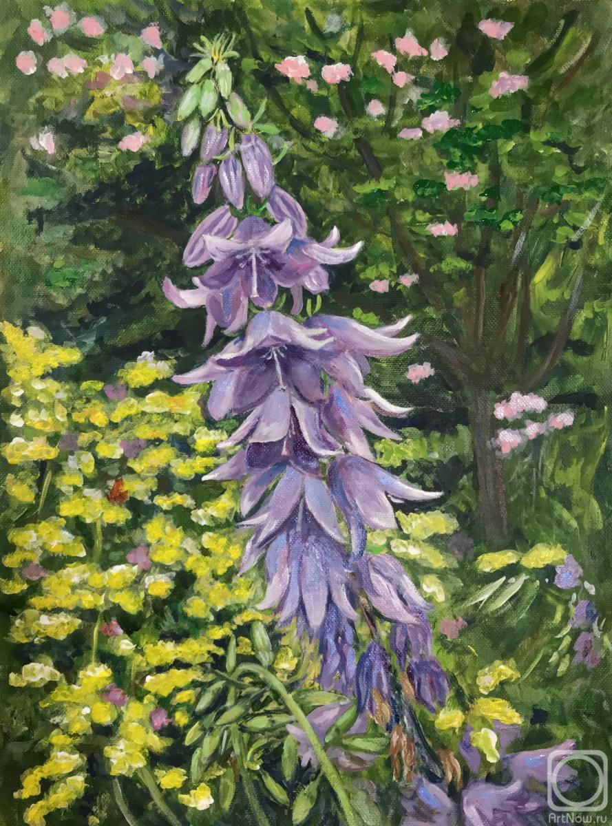 ������� ������ �� ������. �������� ������. ������������