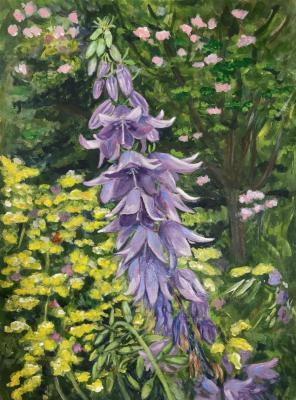 ������� �������������