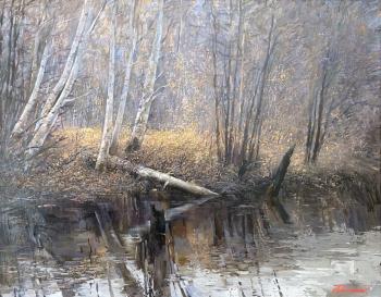 Beaver Place. Maklashin Boris