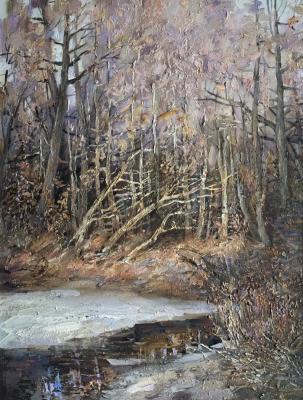 Remnants of ice and snow. Maklashin Boris