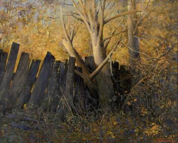 The beginning of the Orsha highway. Maklashin Boris