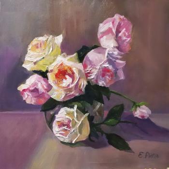 Roses. Ripa Elena