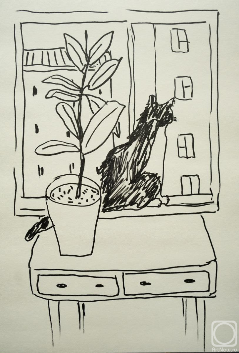 �������. ��� �����. ����� � ����