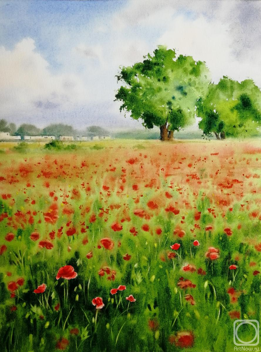 �������. ��������� �����. ������� ����