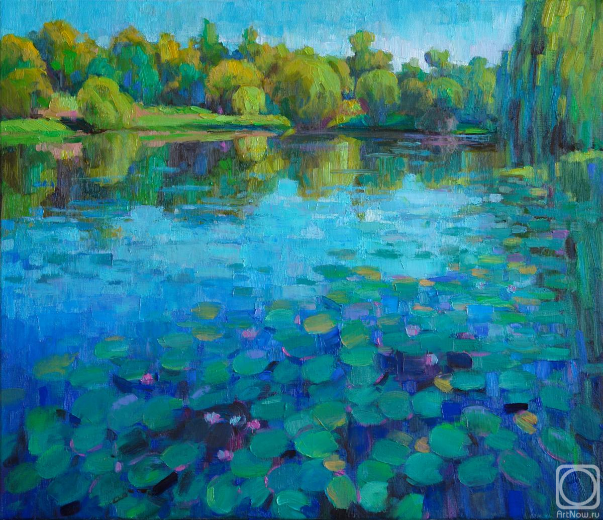 ������� ������ �� ������. ���������� ���������. ���� � ����������