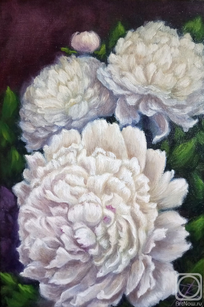 Vishnevskaya Ekaterina. Peonies