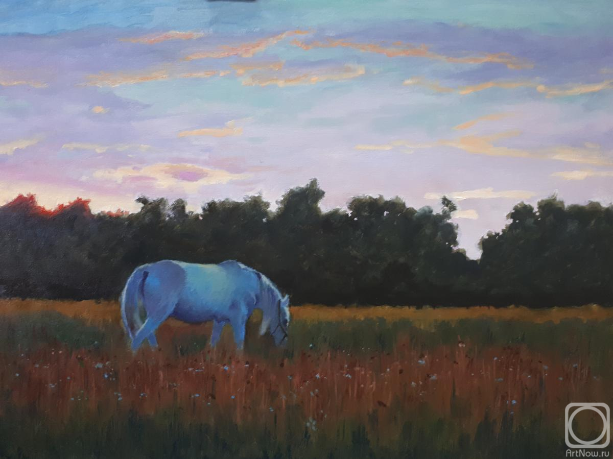 ������� ������ �� ������. ������ ������. ˸����