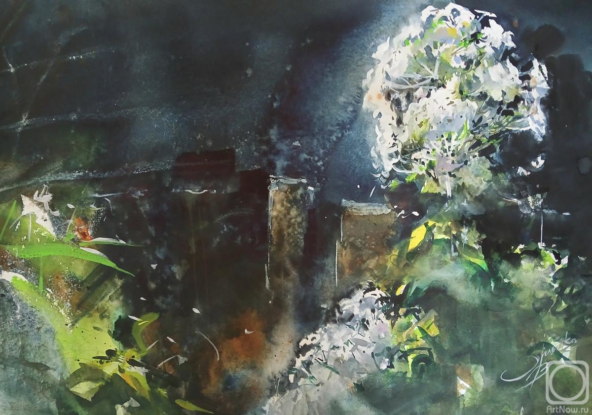 �������. ������� ��������. ������. �� ����� "�����"