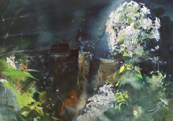 Phlox. From the series "Flowers". Orlenko Valentin