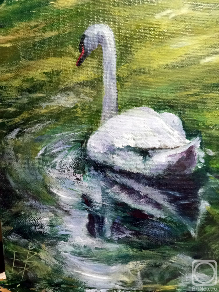 ������� ������ �� ������. ���������� ���������. ���������