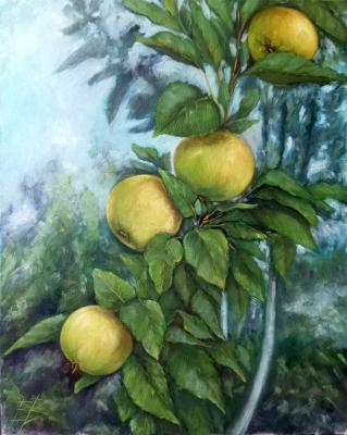 ������� ���������