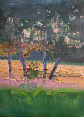 Evening light. Tokarev Evgeniy