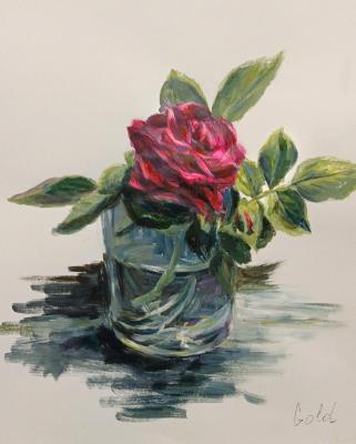 ������� ����. ���������� �������