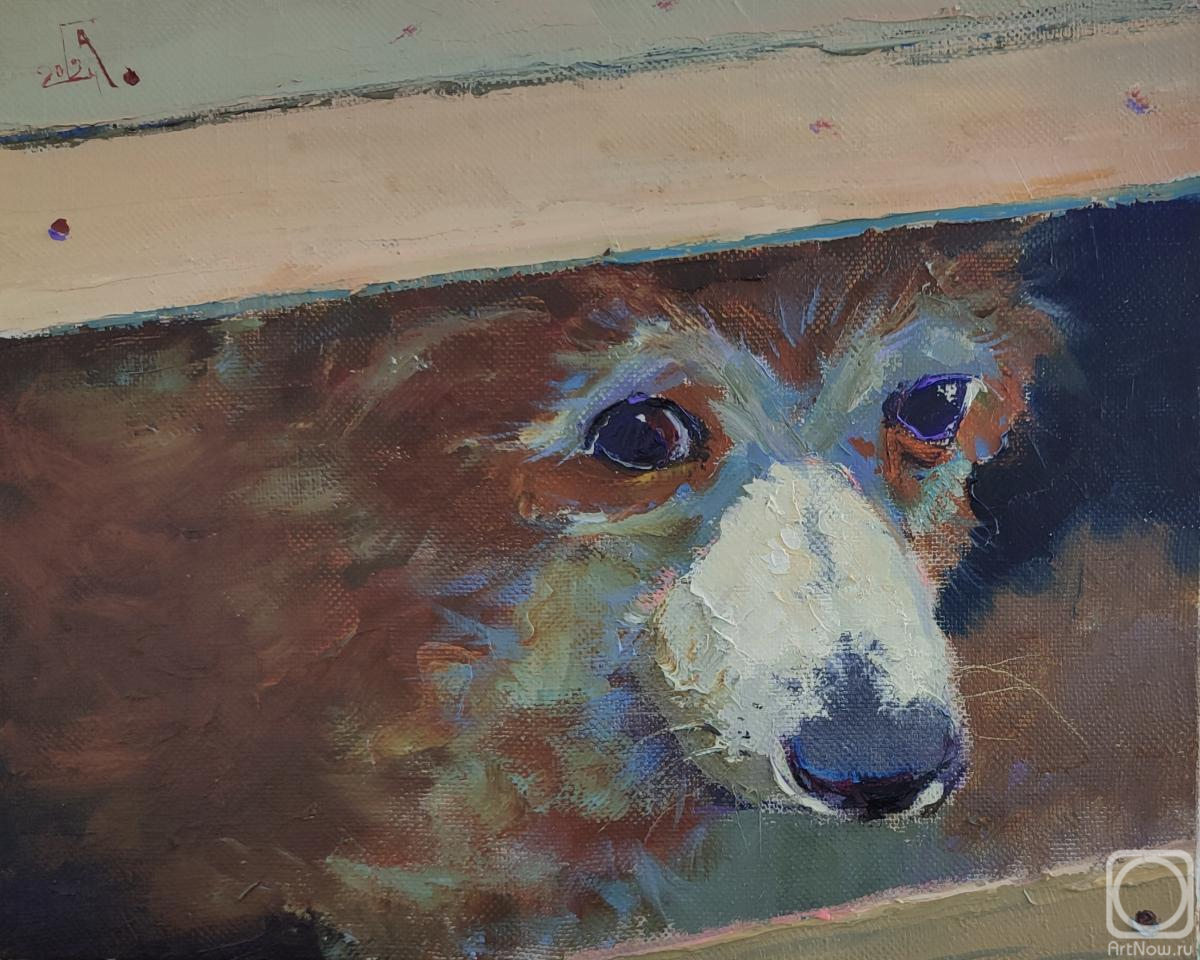 ������� ������ �� ������. ���������� �������. �� ��� ���� ���