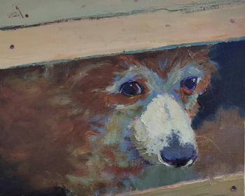 �� ��� ���� ���. ���������� �������