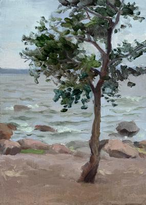 ������ �� ������ �������� ������. ����� �������