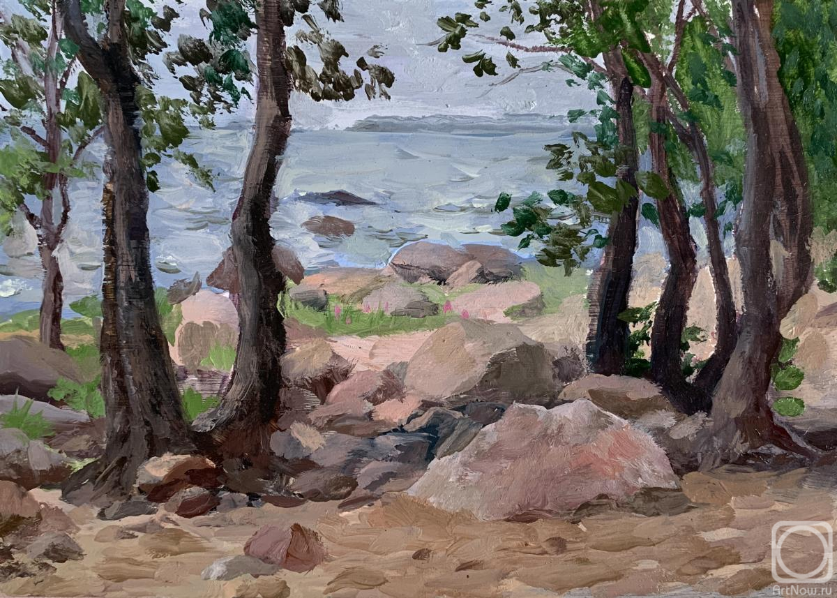 Shalash Dmitriy. Trees and stones on the shore of the Gulf of Finland