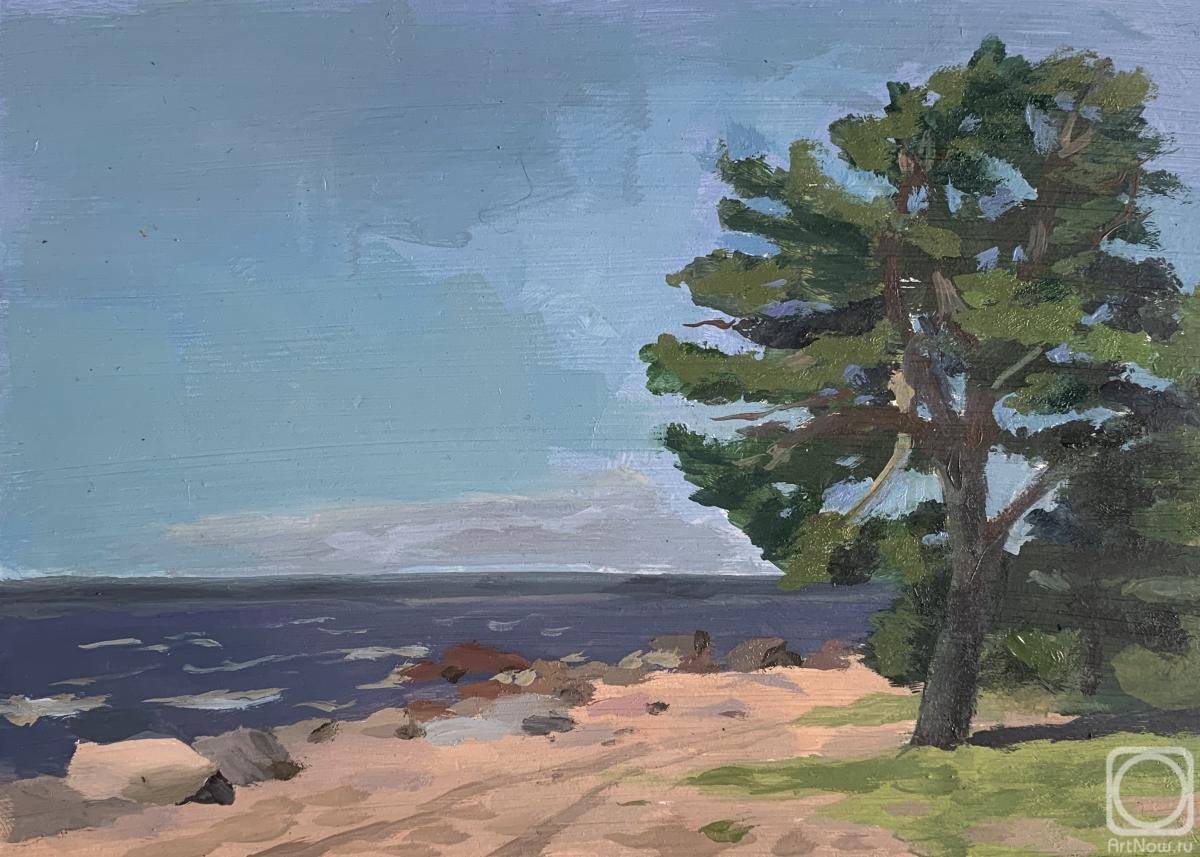 Shalash Dmitriy. Pine on the shore