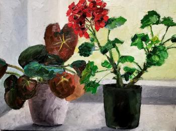 ������ ������. ��������� �����