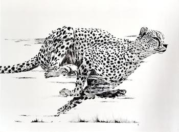 ������� �������