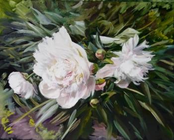 Peonies