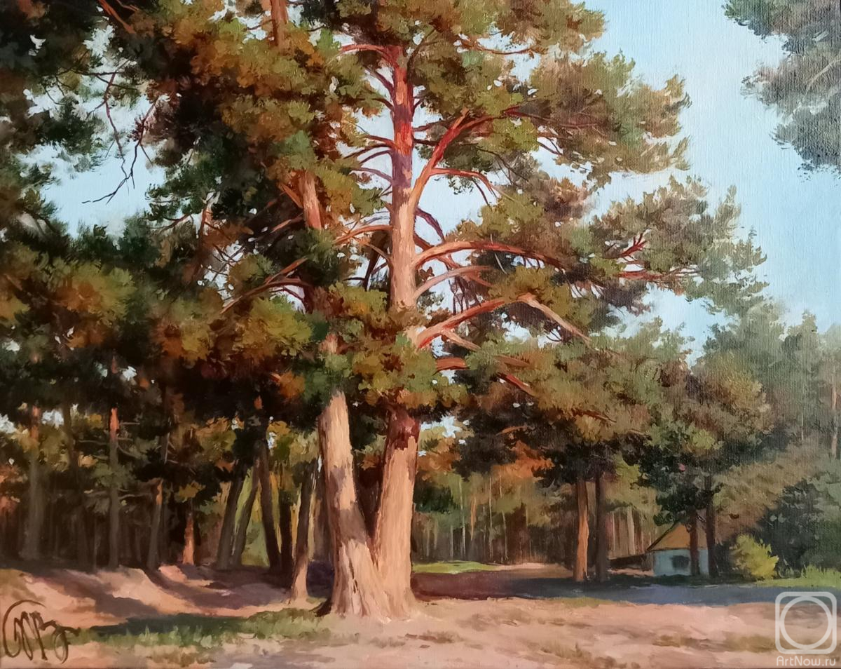 ������� ������ �� ������. ������� �������. ��������� 6. �������