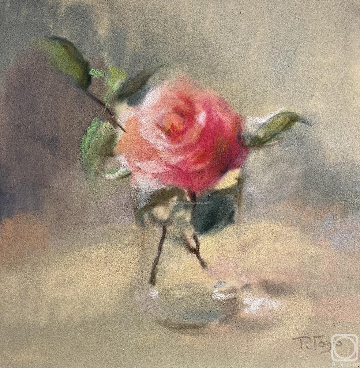 Godovalnikova Tatiana. Transparency