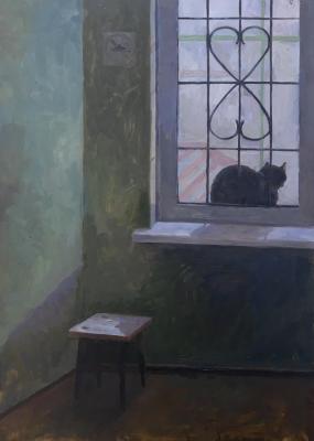 ������� ������ ���� ����� 20�