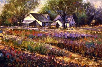 ������� ��������