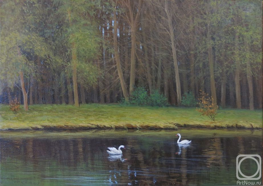 ������� ������ �� ������. ��������� �����. ������, ������ �����