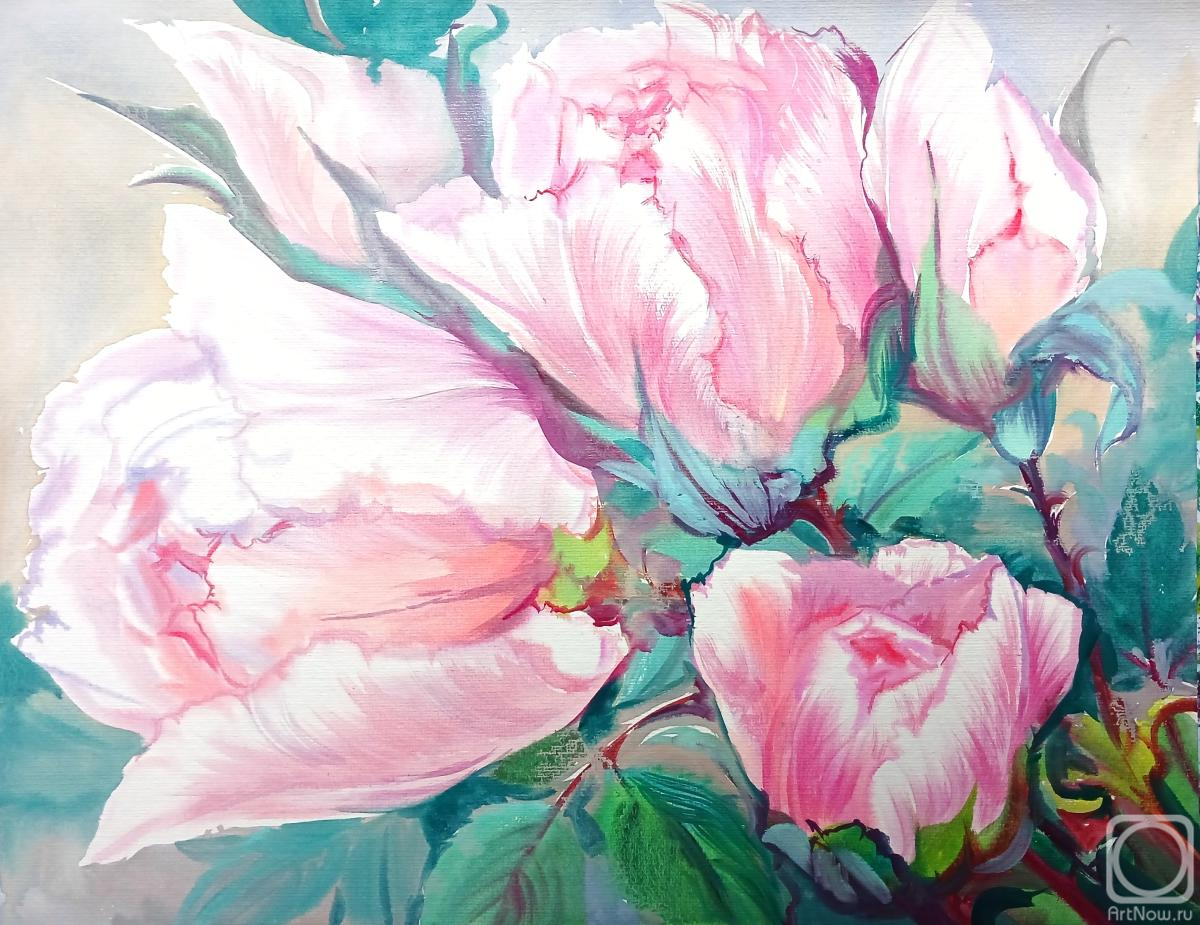 �������. ���������� ���������. ���� � ������ �����