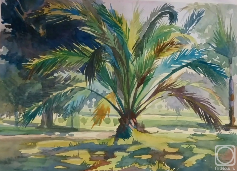 Pravdolyubova Ulyana. Palm tree in Sochi
