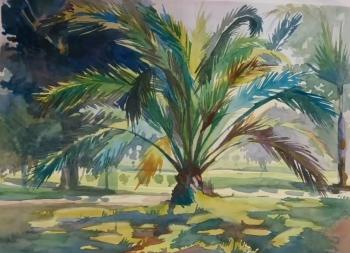 Palm tree in Sochi. Pravdolyubova Ulyana