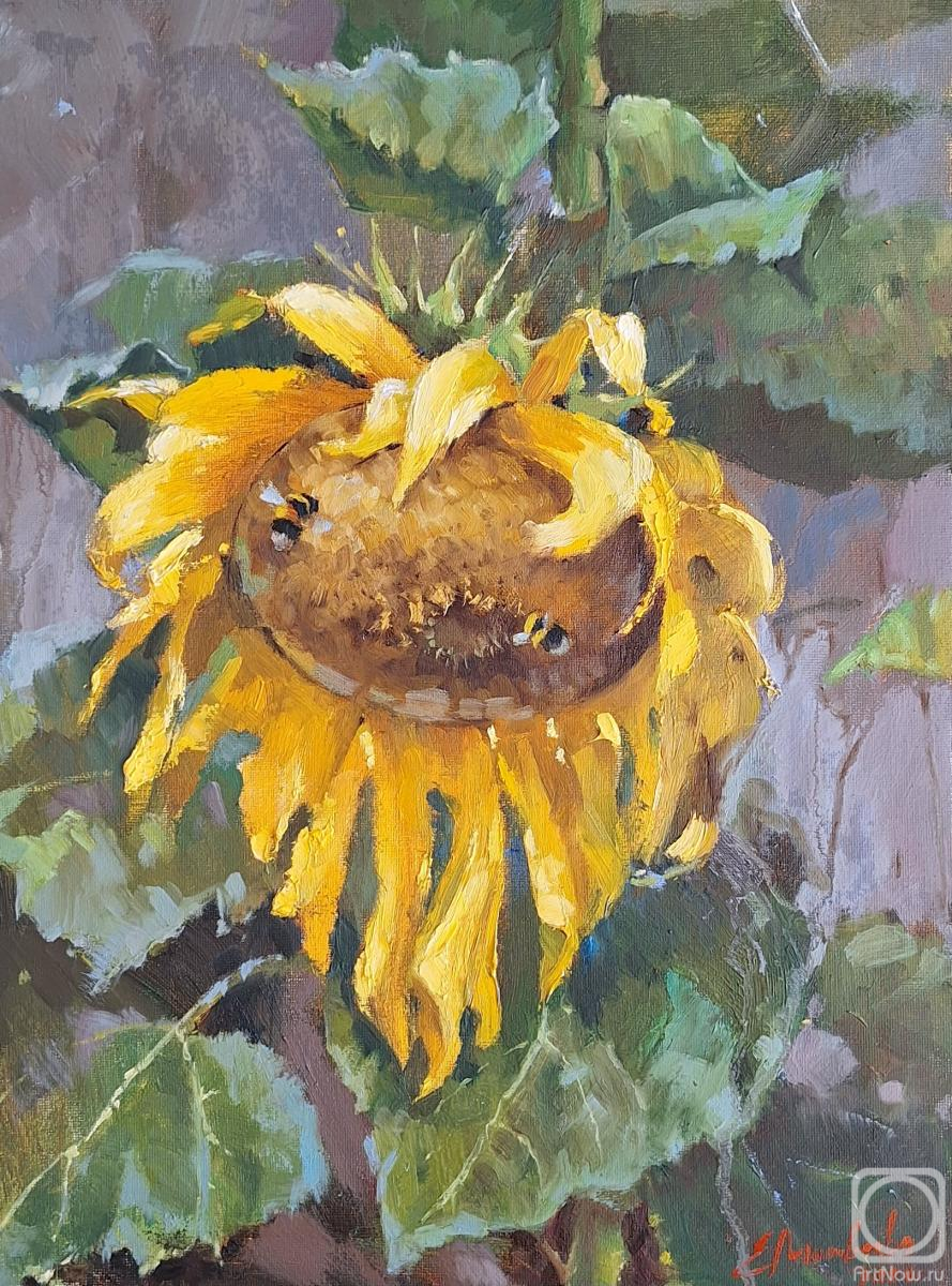 ������� ������ �� ������. �������� �������. ���������