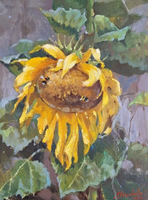 ������� �����������