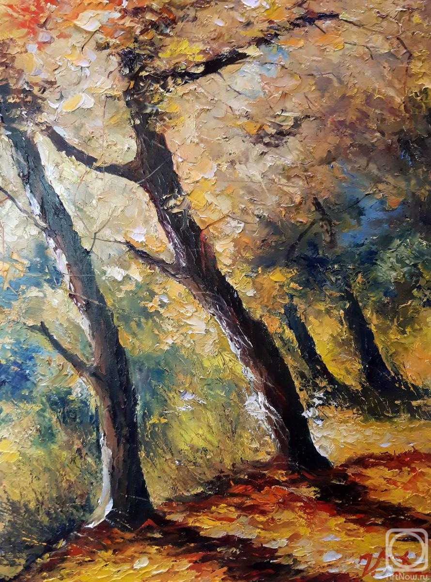 ������� ������ �� ������. �������� ���������. �����