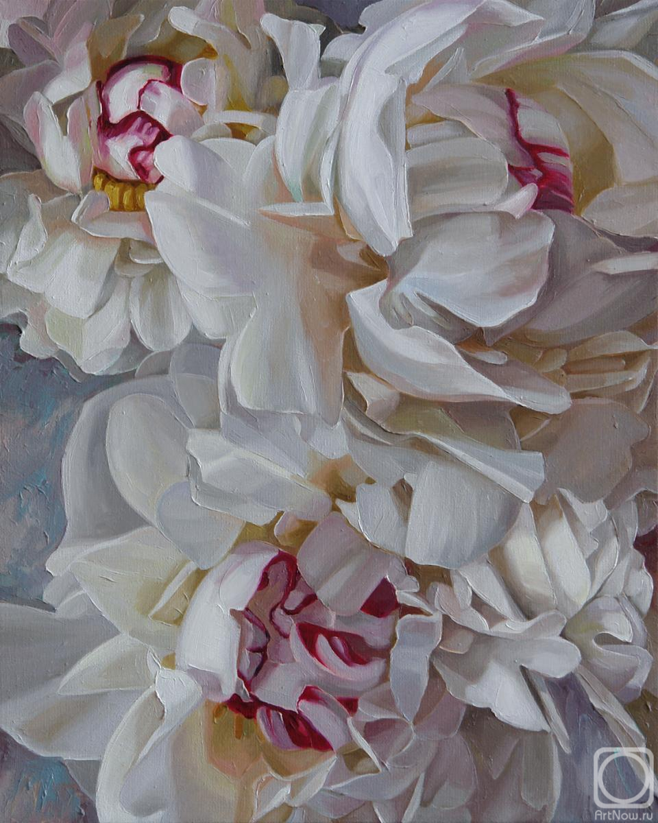 ������� ������ �� ������. ���������� ���������. ������ �����