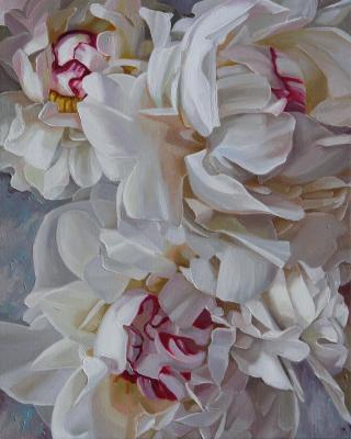 ������ �����. ���������� ���������