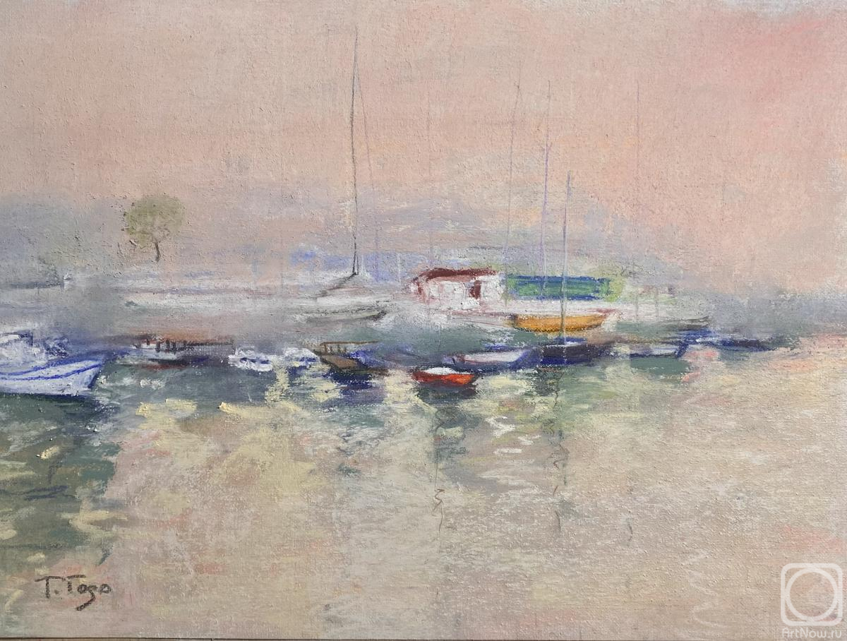 Godovalnikova Tatiana. Yachts and boats