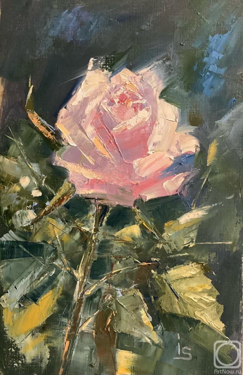 �������. �������� �����. ������� ���� 1