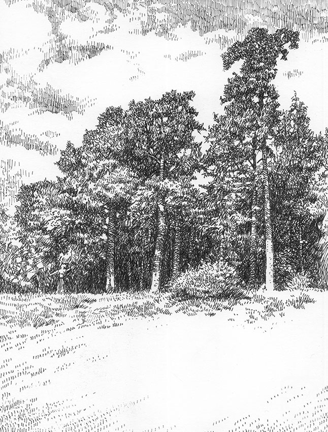 �������. ������� ������. ����� � ���������� ����